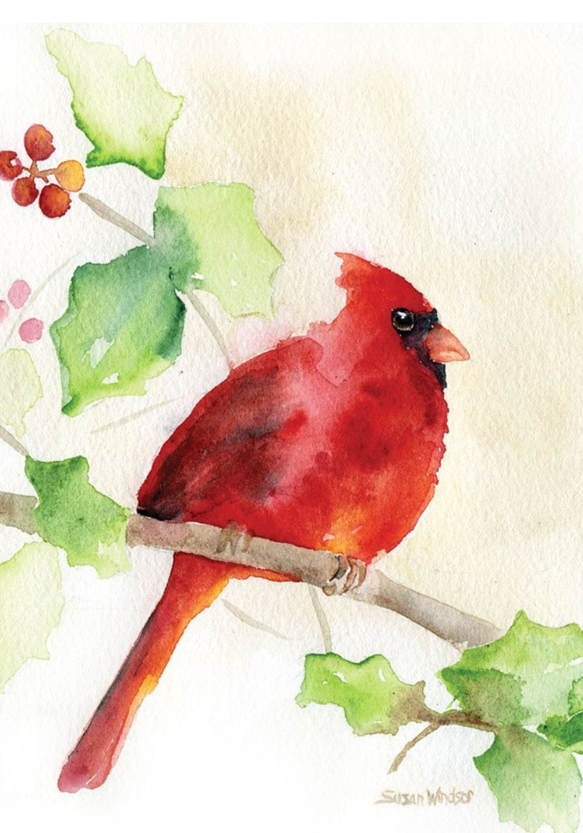 843x1205 Watercolor Cardinal Watercolor Painting Amp Inspiration - Cardinal Watercolor Painting