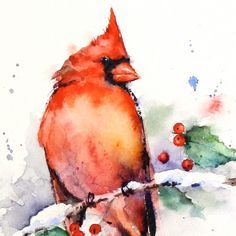 236x236 Cardinal Watercolor Painting - Cardinal Watercolor Painting