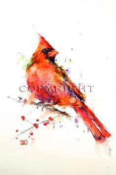 236x354 Cardinal Watercolor Bird Art Print, Cardinal Painting, By Dean - Cardinal Watercolor Painting