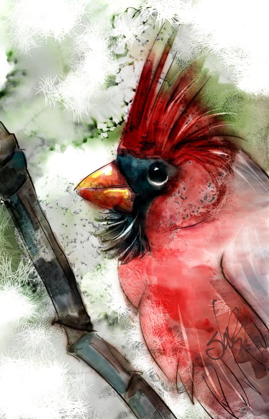 549x854 Cardinal - Cardinal Watercolor Painting