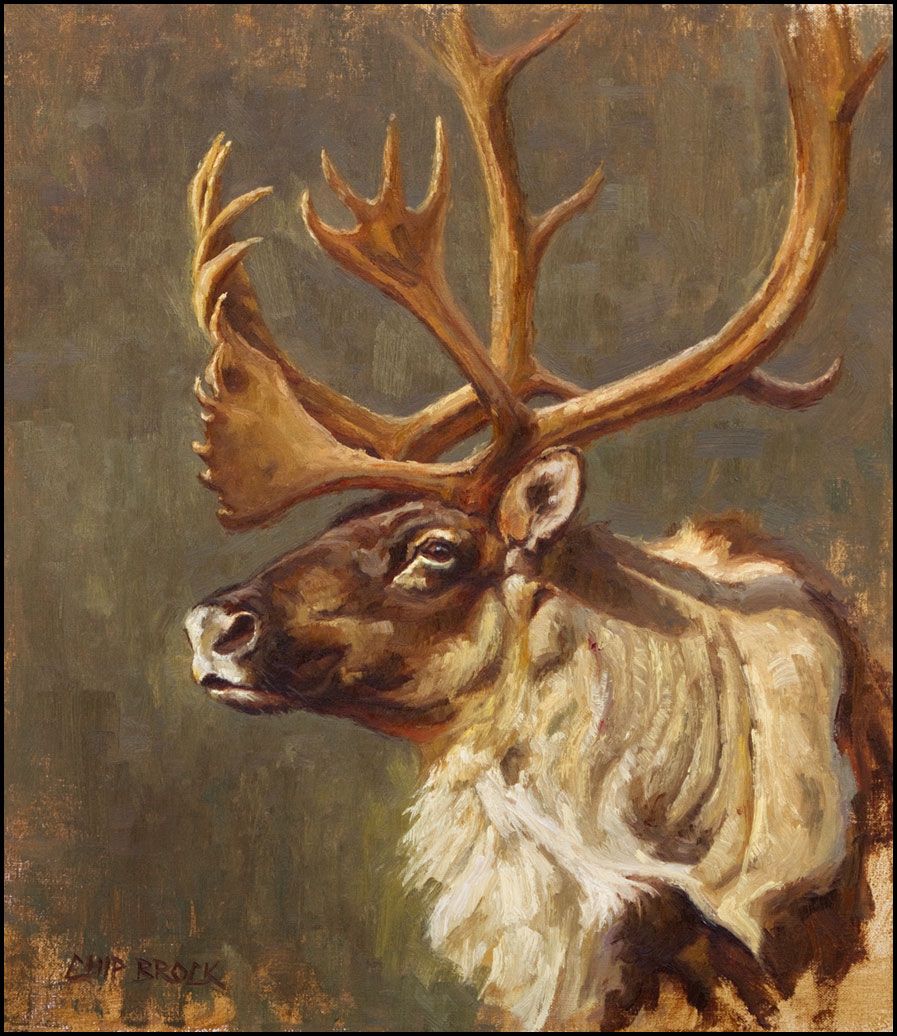 897x1036 Painting Archives Of Wildlife Artist Chip Brock Of Wasilla, Alaska - Caribou Painting