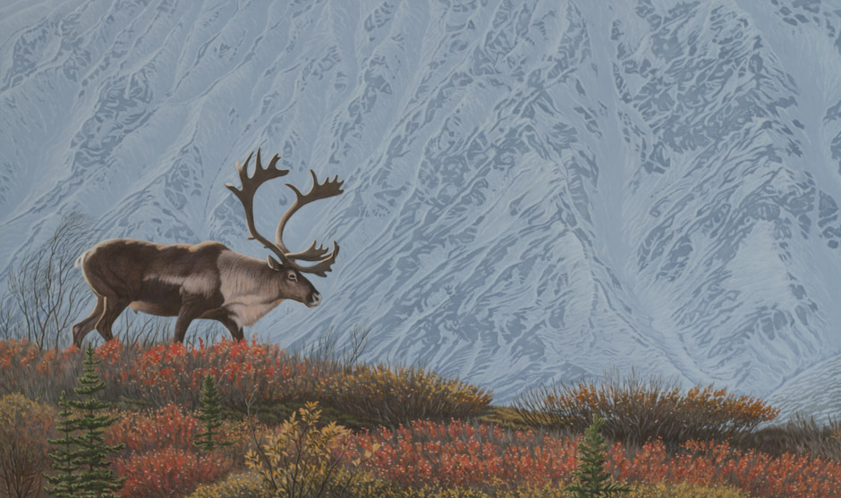 940x557 Ridge Runner - Caribou Painting