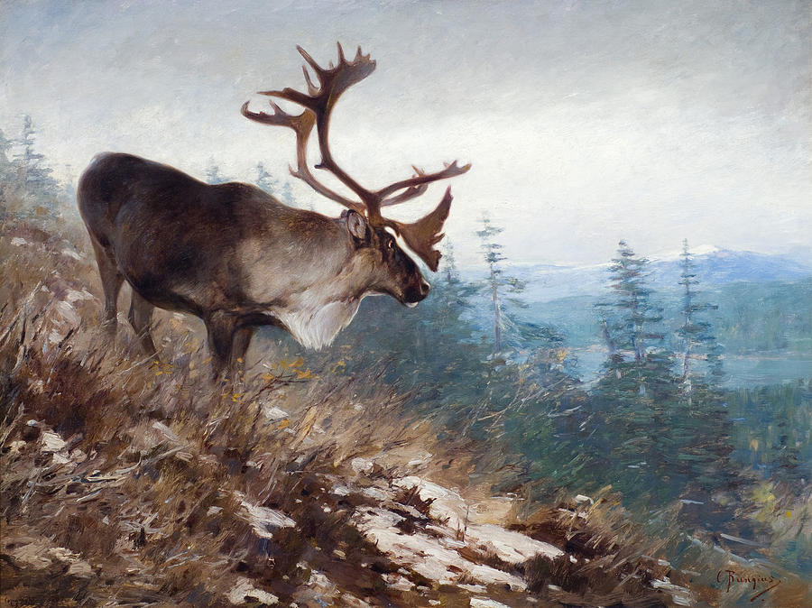 900x674 Yukon King Caribou Painting By Celestial Images - Caribou Painting
