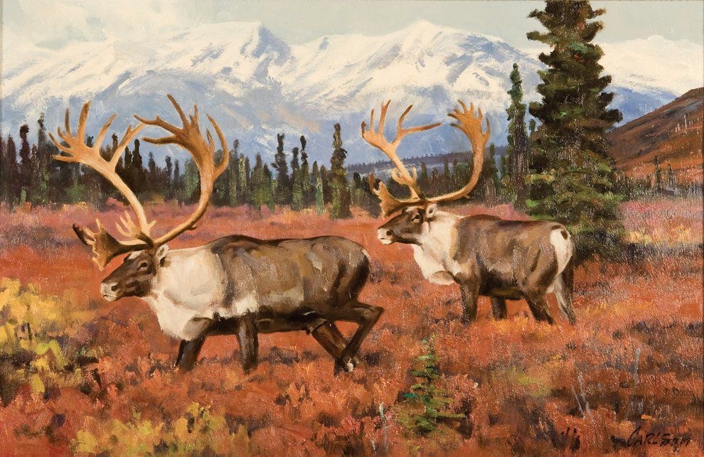 990x643 Photo Thumbnail Art Art Museum, Museums And Paintings - Caribou Painting
