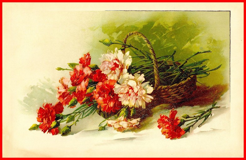 785x509 Incredible Art Image For Carnation Flower Painting Concept - Carnation Flower Painting