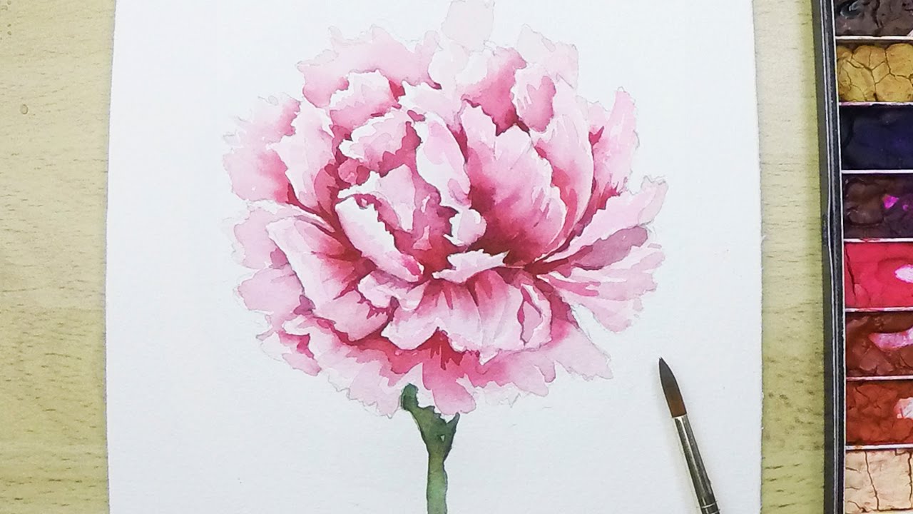 1280x720 Lvl4] How To Paint A Carnation Flower In Watercolor - Carnation Flower Painting