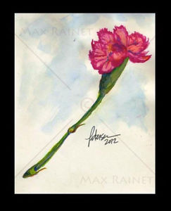 243x300 Listed Artist = C Peterson = Watercolor Painting = Pink Carnation - Carnation Flower Painting