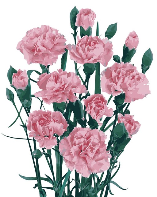 512x640 Mahuaf I940 Miss Carnations Flowers Painting By Numbers Hand Paint - Carnation Flower Painting