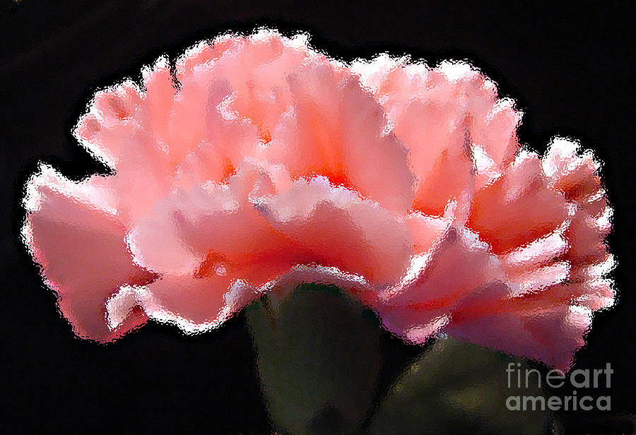 900x616 Pink Carnation Painting By Audrey Peaty - Carnation Flower Painting