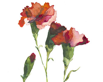 340x270 Carnation Painting Etsy - Carnation Painting
