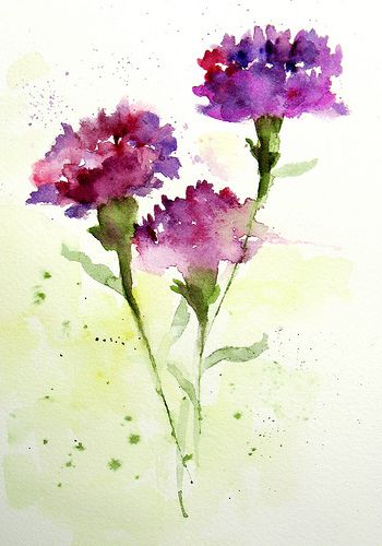 350x500 Carnations Carnation, Watercolor And Flowers - Carnation Painting