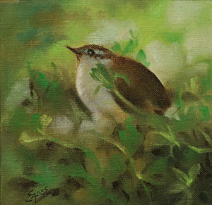Carolina Wren Painting