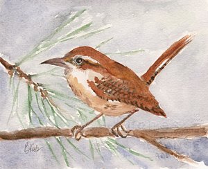 300x244 Carolina Wren Paintings - Carolina Wren Painting