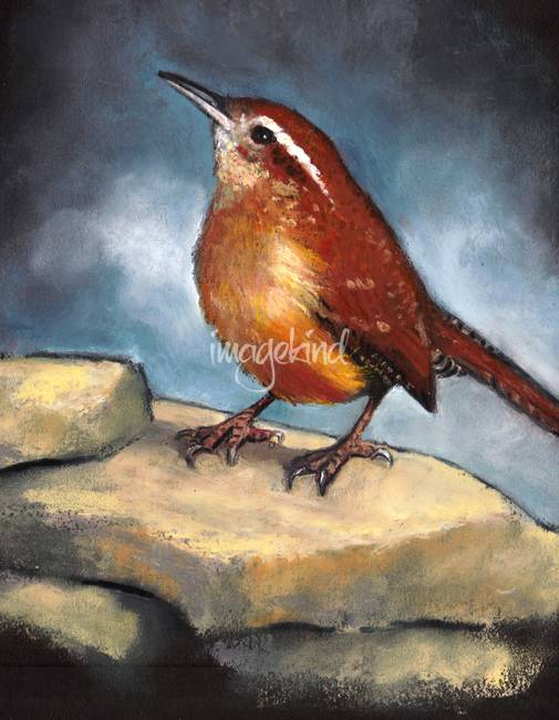505x650 Carolina Wren In Oil Pastel By Joyce Geleynse - Carolina Wren Painting