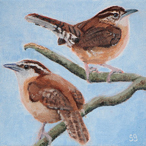 300x300 Carolina Wrens Painting By Susan Garriques - Carolina Wren Painting