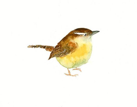 570x447 Carolina Wren By Dimdi Original Watercolor Painting By Dimdi - Carolina Wren Painting