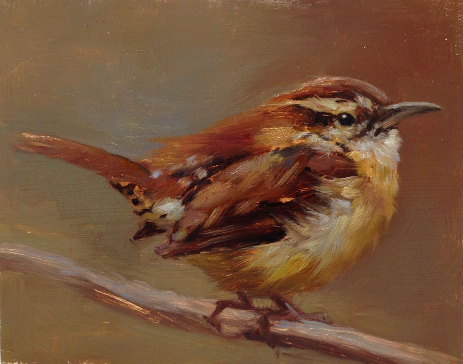 1500x1180 Carolina Wren - Carolina Wren Painting