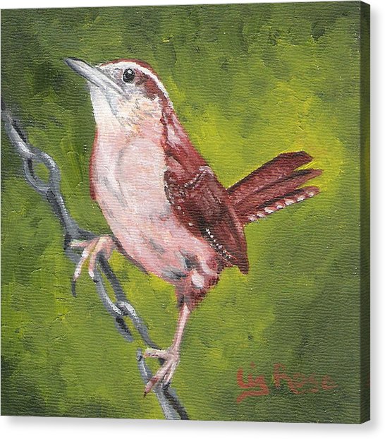 546x622 Carolina Wren Female Painting By Liz Rose - Carolina Wren Painting