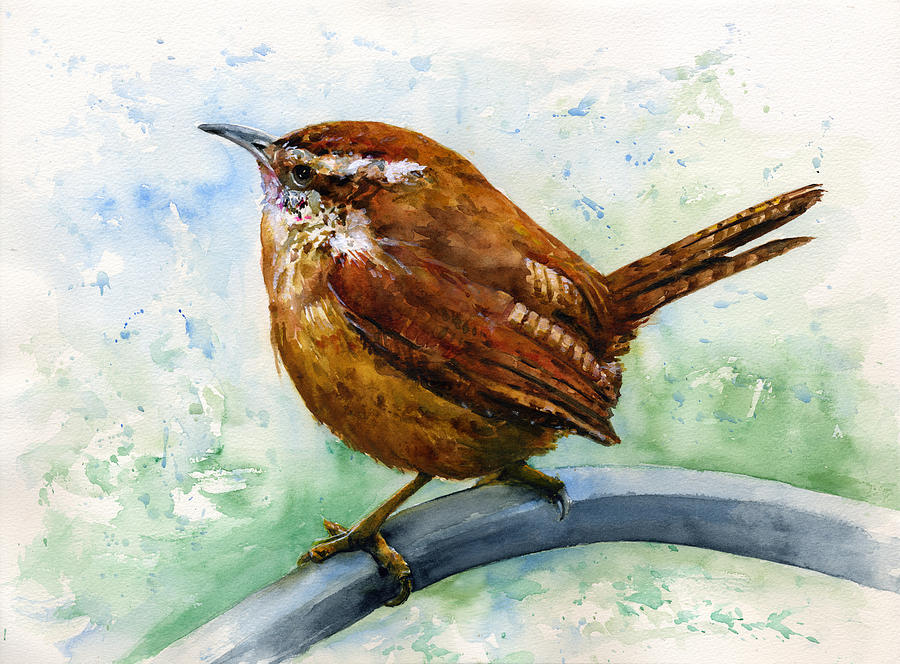 900x664 Carolina Wren Large Painting By John D Benson - Carolina Wren Painting