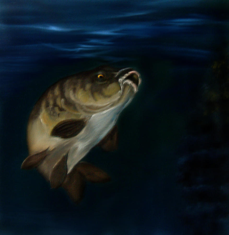 877x900 Mirror Carp 4 Painting By Cynthia Adams - Carp Painting
