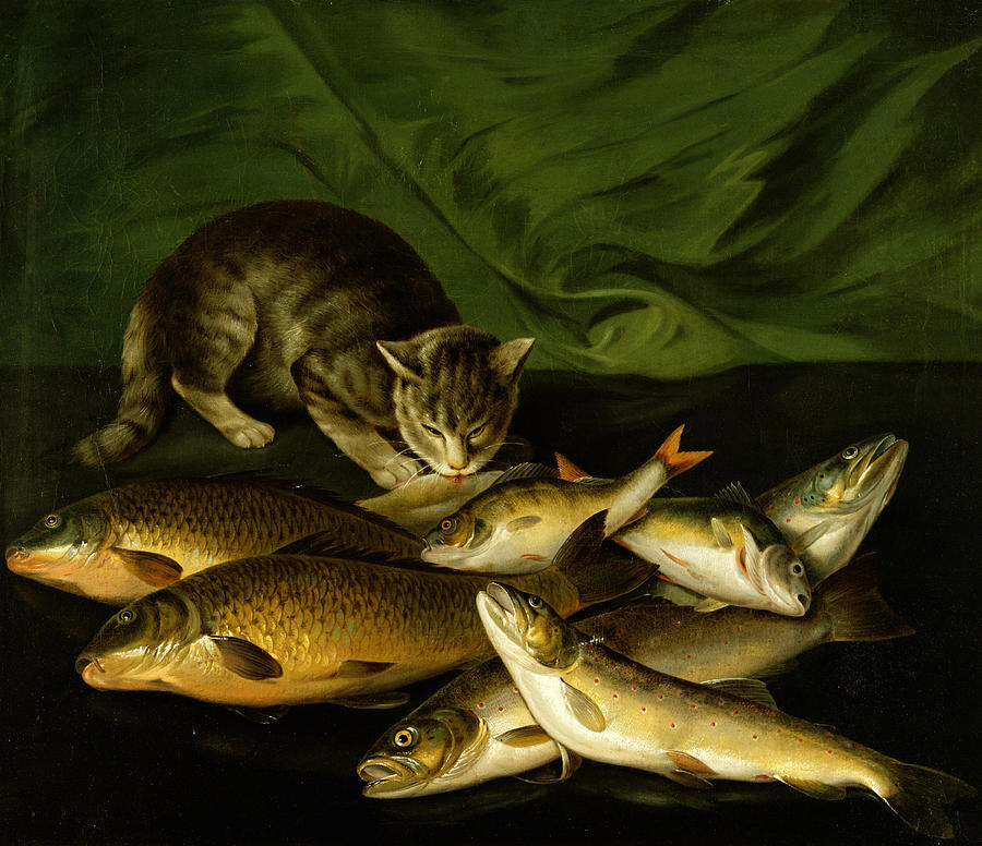 900x776 A Cat With Trout Perch And Carp On A Ledge Painting By Stephen Elmer - Carp Painting