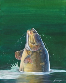 222x278 Online Shop Big Carp Big Carp Magazine - Carp Painting