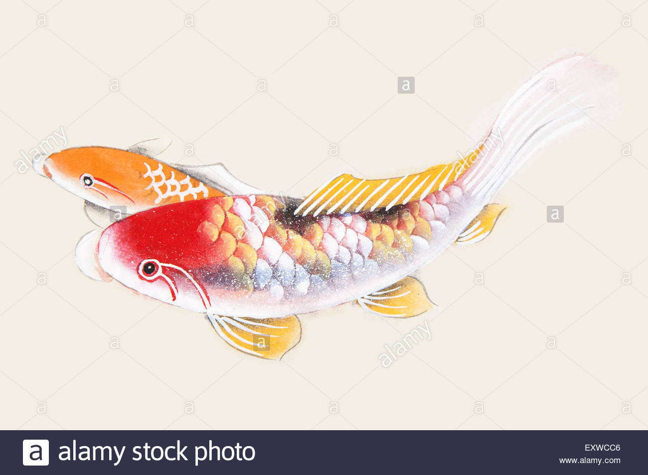 1300x954 Traditional Chinese Painting, Koi Carp, Fish Stock Photo 85381078 - Carp Painting