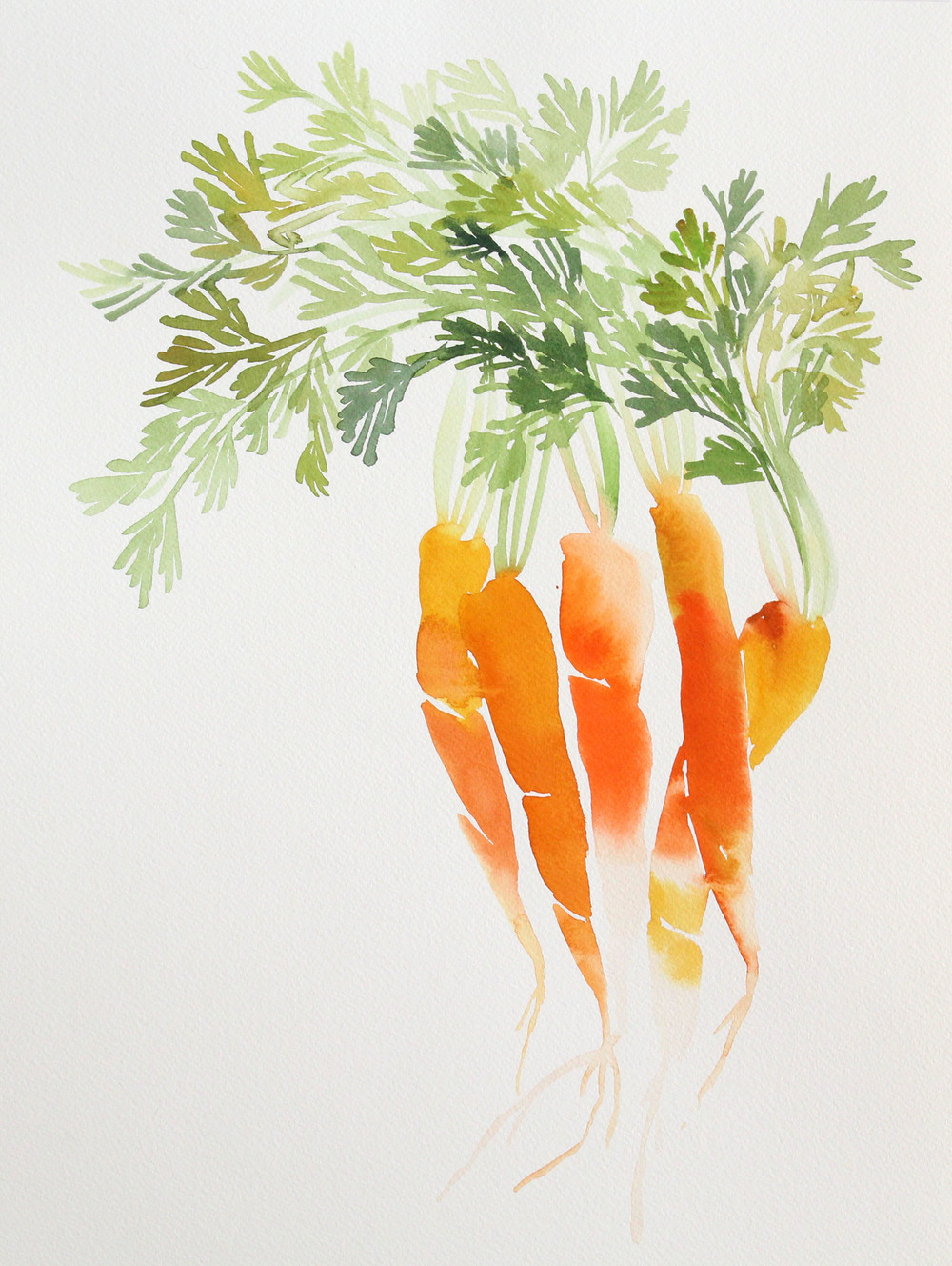 1000x1329 Carrot Top Yao Cheng Design - Carrot Painting