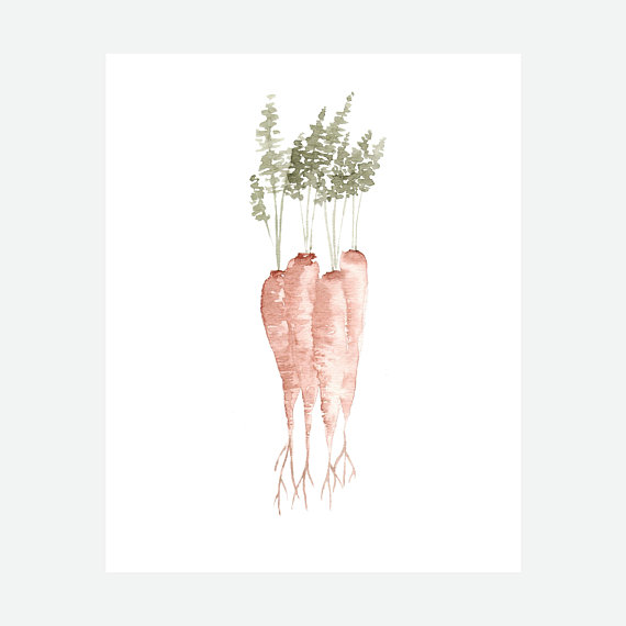 570x570 Watercolor Carrot Painting 8x10 Art Print - Carrot Painting