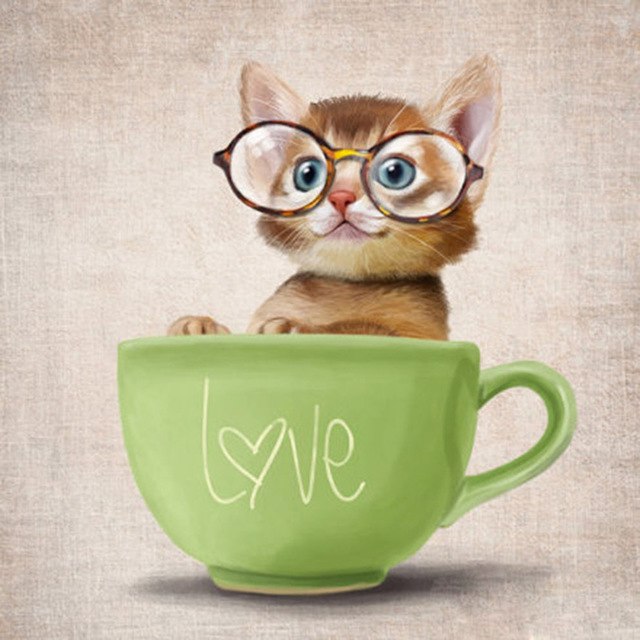 640x640 New 5d Diy Diamond Painting Cat Picture Rhinestone Cartoon Cat - Cartoon Cat Painting