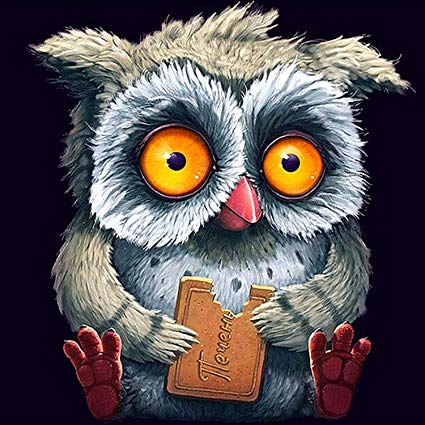 425x425 Zhenc 5d Cartoon Owl Eating Cookie Diy Square Diamond - Cartoon Owl Painting