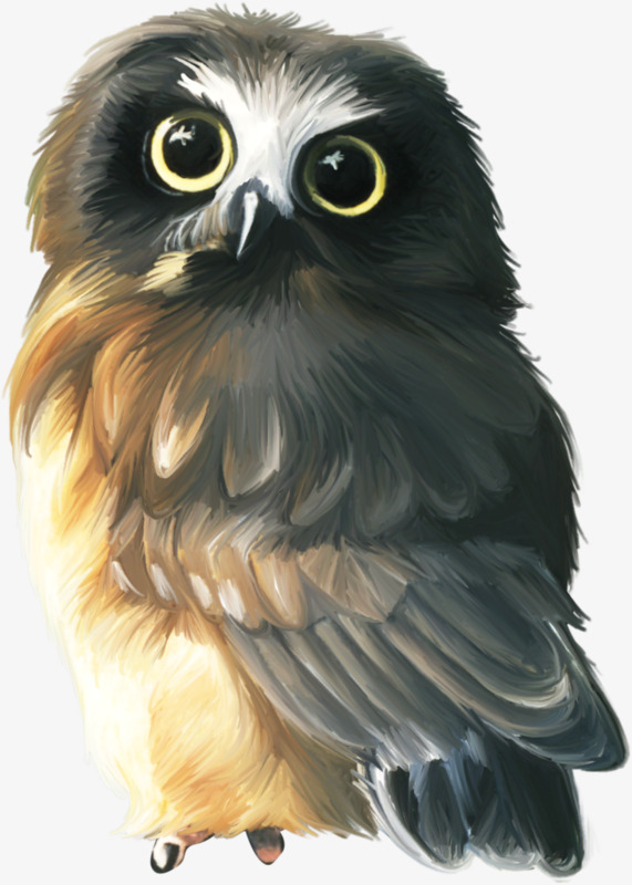 571x800 Cartoon Owl Painting, Hand Painted Cartoon, Oil Painting, Owl Png - Cartoon Owl Painting