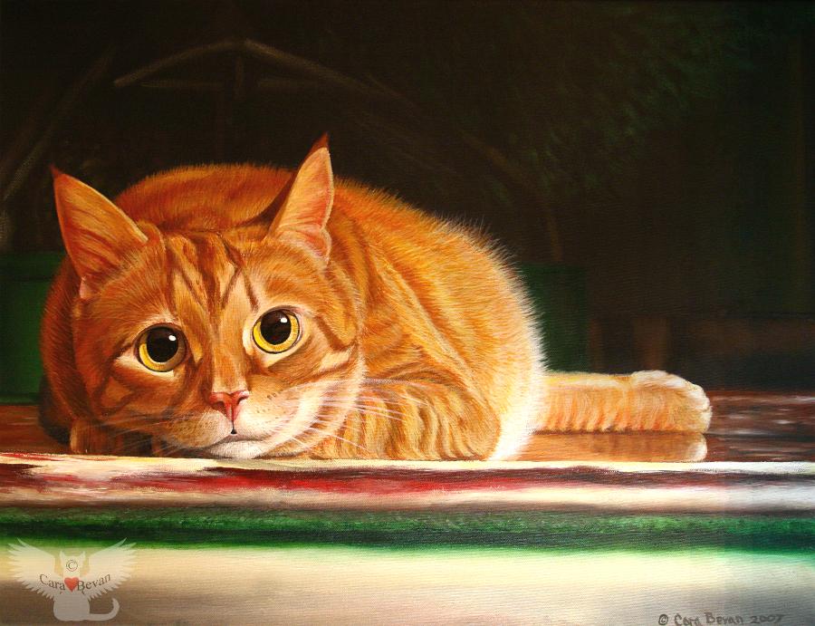 900x691 Cat Subgallery By Cara Bevanart From The Heart - Cat Acrylic Painting