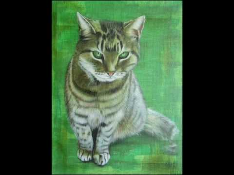 480x360 Hubble How To. How To Paint A Cat Using Acrylics - Cat Acrylic Painting