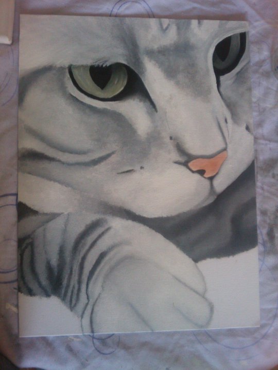 540x720 American Shorthair Cat Acrylic Painting Part 4 By Kerri Pomroy - Cat Acrylic Painting