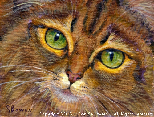 500x379 Pet Portraits Lake Oswego, Dog And Cat Custom Portraits By Artist - Cat Eye Painting