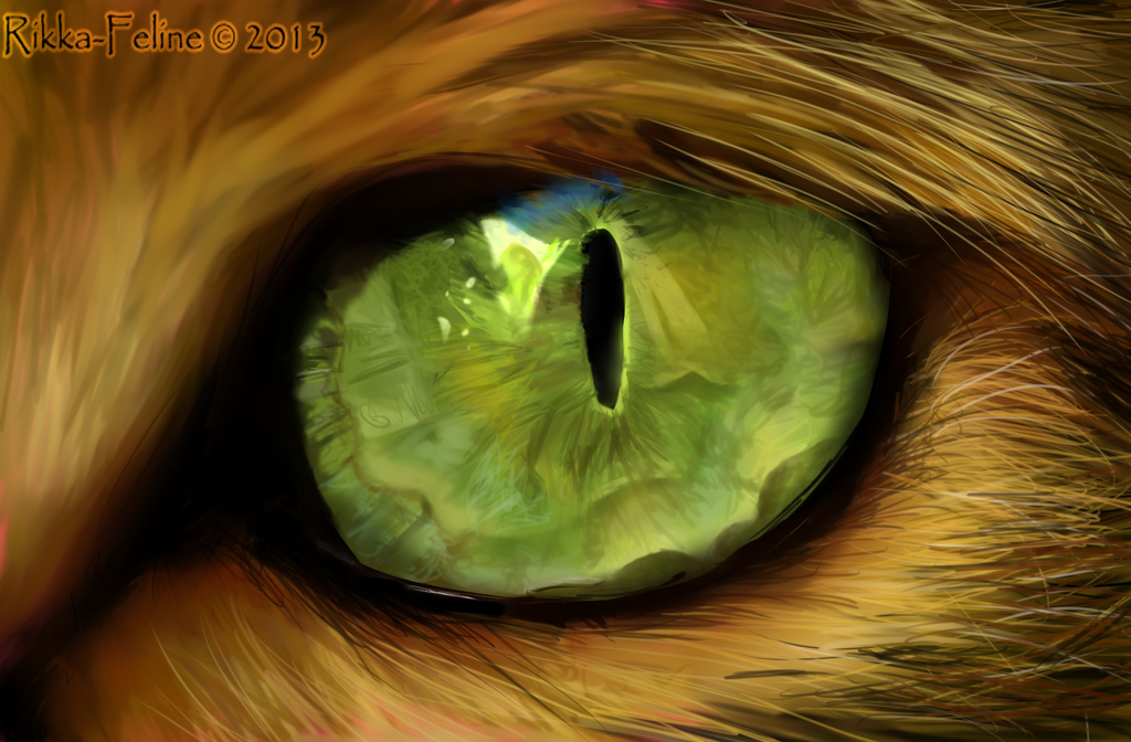 1024x672 Realism Painting - Cat Eye Painting