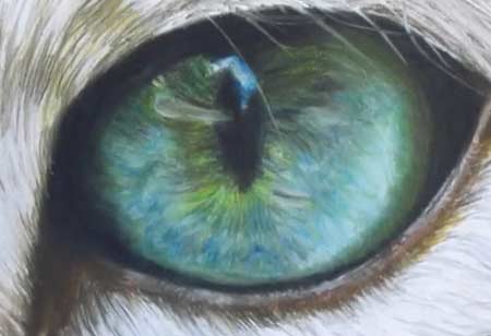 450x308 Speed Drawing - Cat Eye Painting