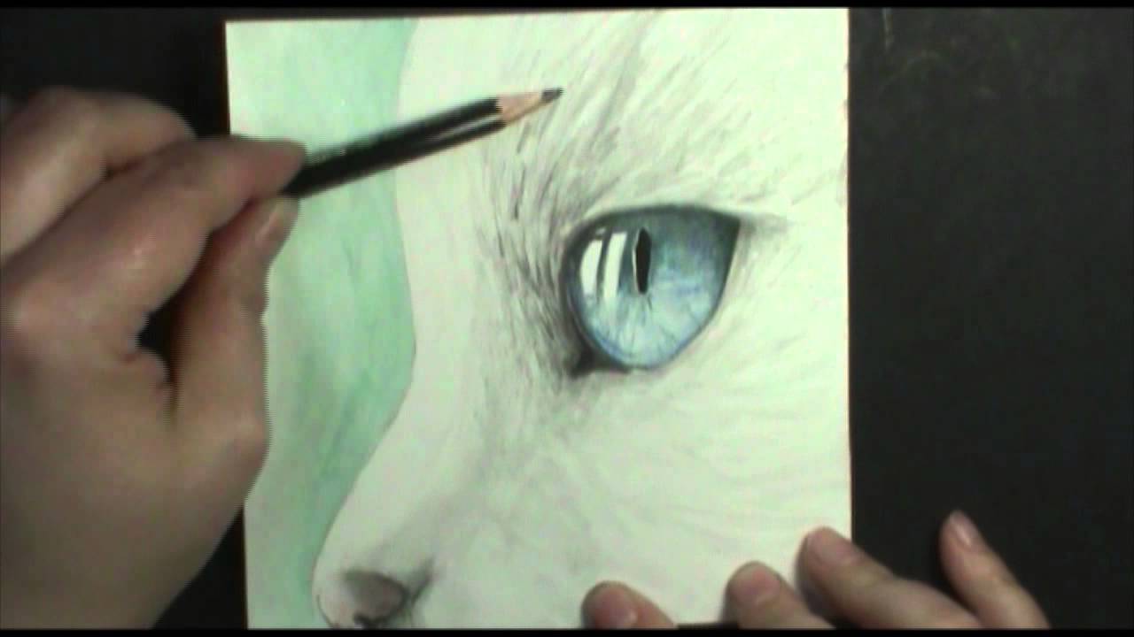 1280x720 Speed Painting Cat's Eye - Cat Eye Painting