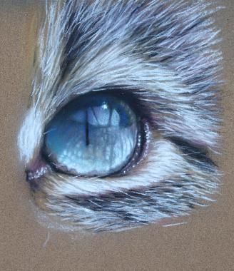 328x380 The Exotic Jungle Looks And Wild Ocelot Cat Pastels - Cat Eye Painting