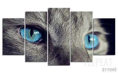 400x250 Cat Eye Painting - Cat Eye Painting