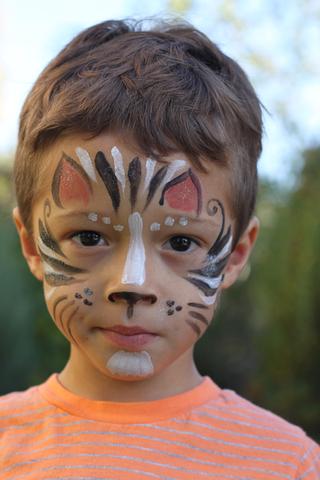 320x480 Natural Earth Paint - Cat Face Painting