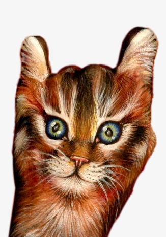 326x463 Creative Painting Cat Head, Gesture, Free Stock Png, Png Picture - Cat Head Painting