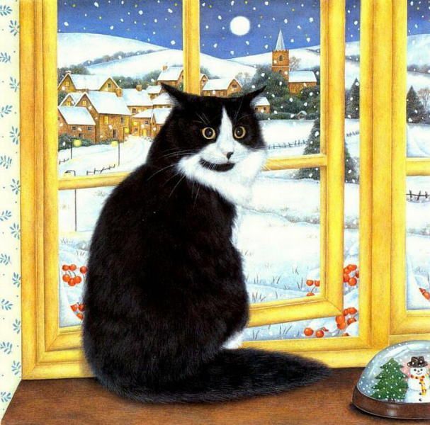 607x600 The 478 Best Paintings Of Bk Amp White Cats Images - Cat Looking Out Window Painting