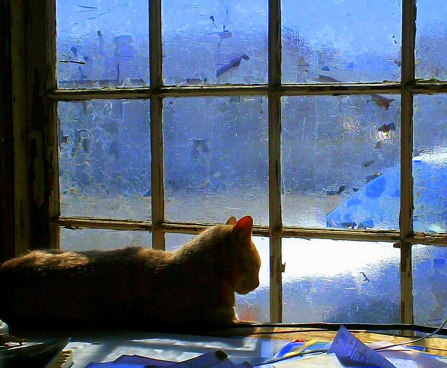 900x742 Cat In The Window Painting By Randall Weidner - Cat Looking Out Window Painting