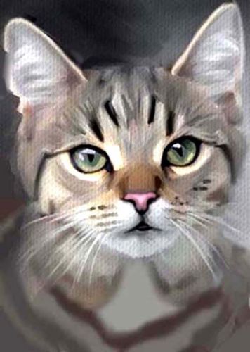 Cat Oil Painting