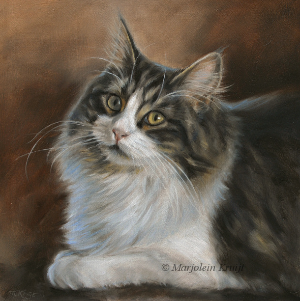 590x591 Cat Portrait Amp Painting Fur In Oil - Cat Oil Painting