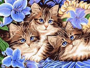 300x225 Diy Cat Oil Painting By Numbers Shopperdesigns - Cat Oil Painting