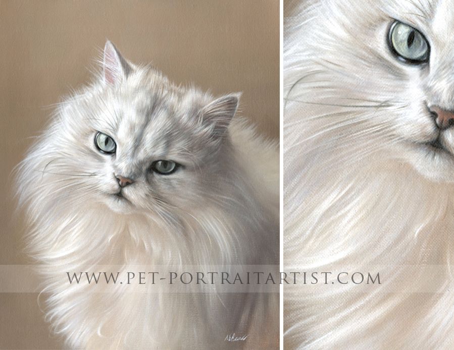 899x694 Image Result For Cat Oil Painting Artwork Cat - Cat Oil Painting