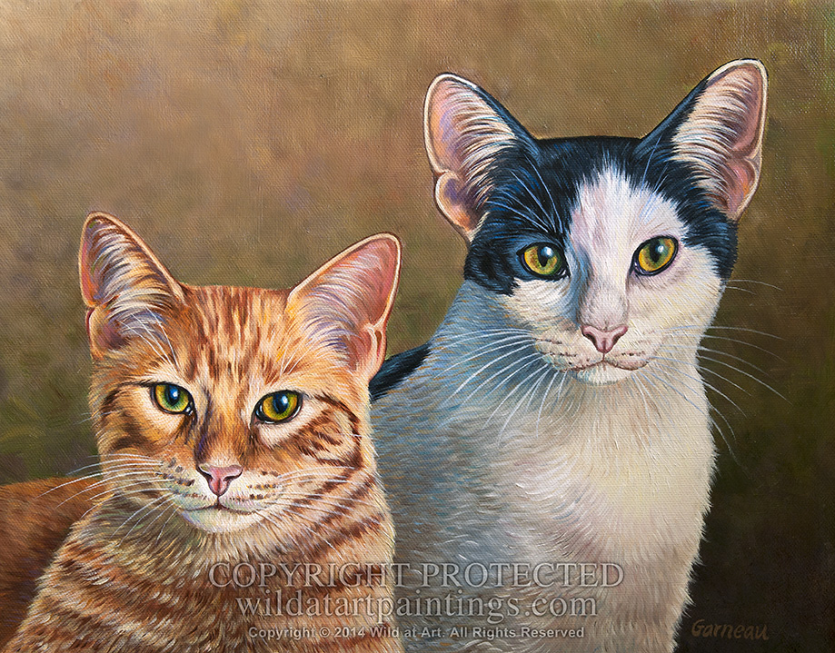 919x719 Pet Portrait Oil Paintings Gallery 1 - Cat Oil Painting